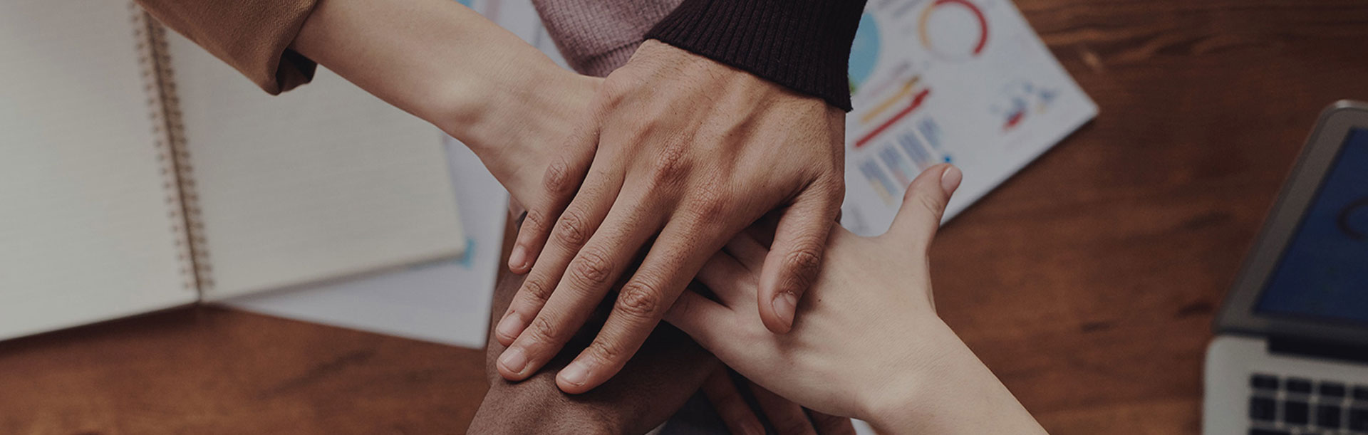 365��������_365�������޹���