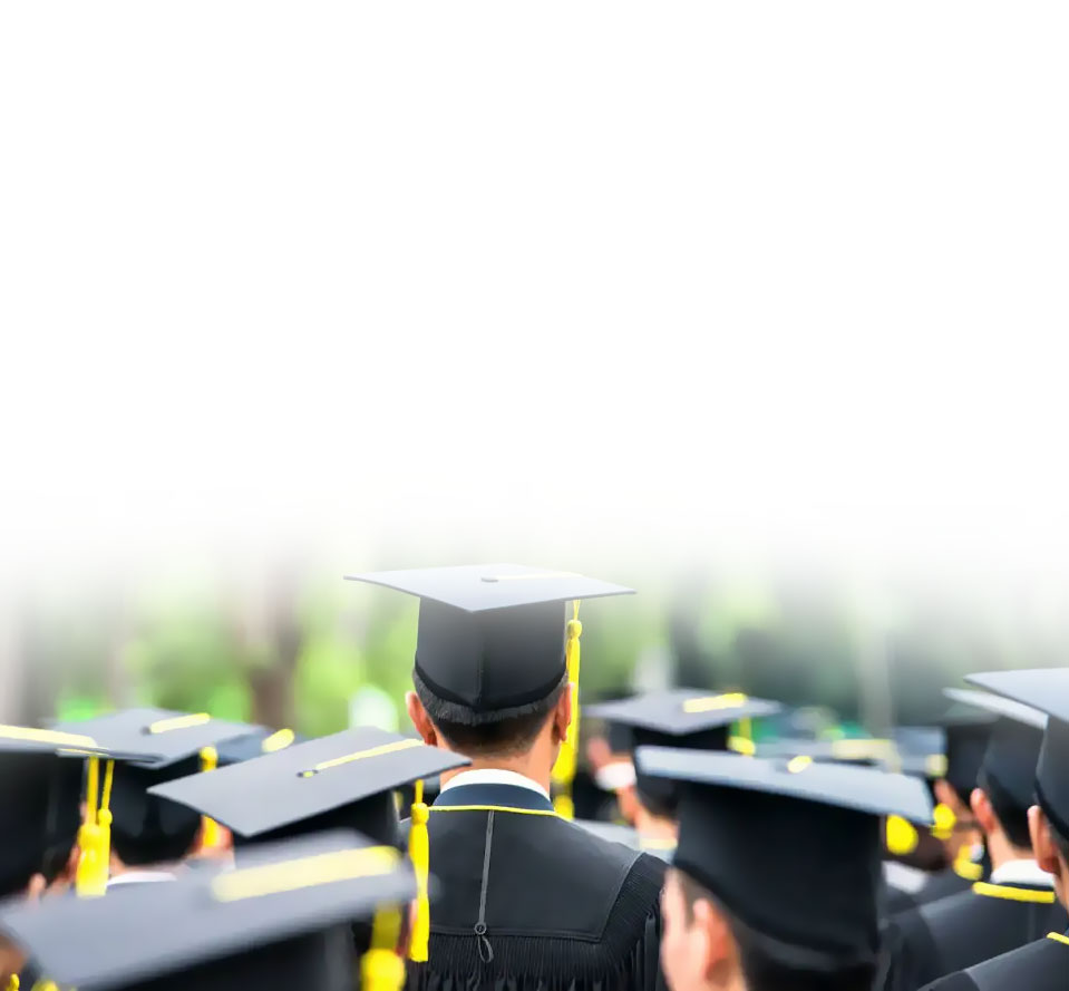 365��������_365�������޹���