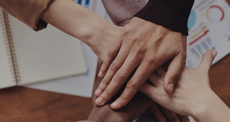 365��������_365�������޹���